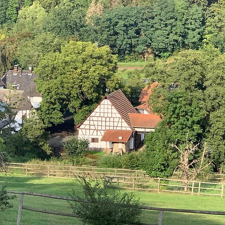 Bauernhof - Auszeit Mal Anders Lejlighed Seckach Eksteriør billede